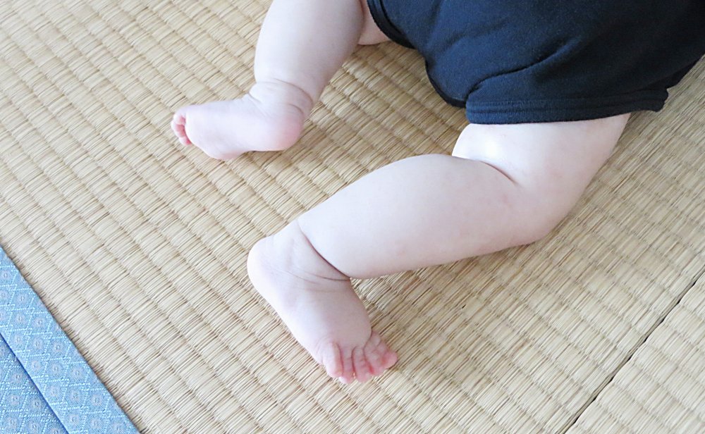 ダニ110番!薬剤不使用